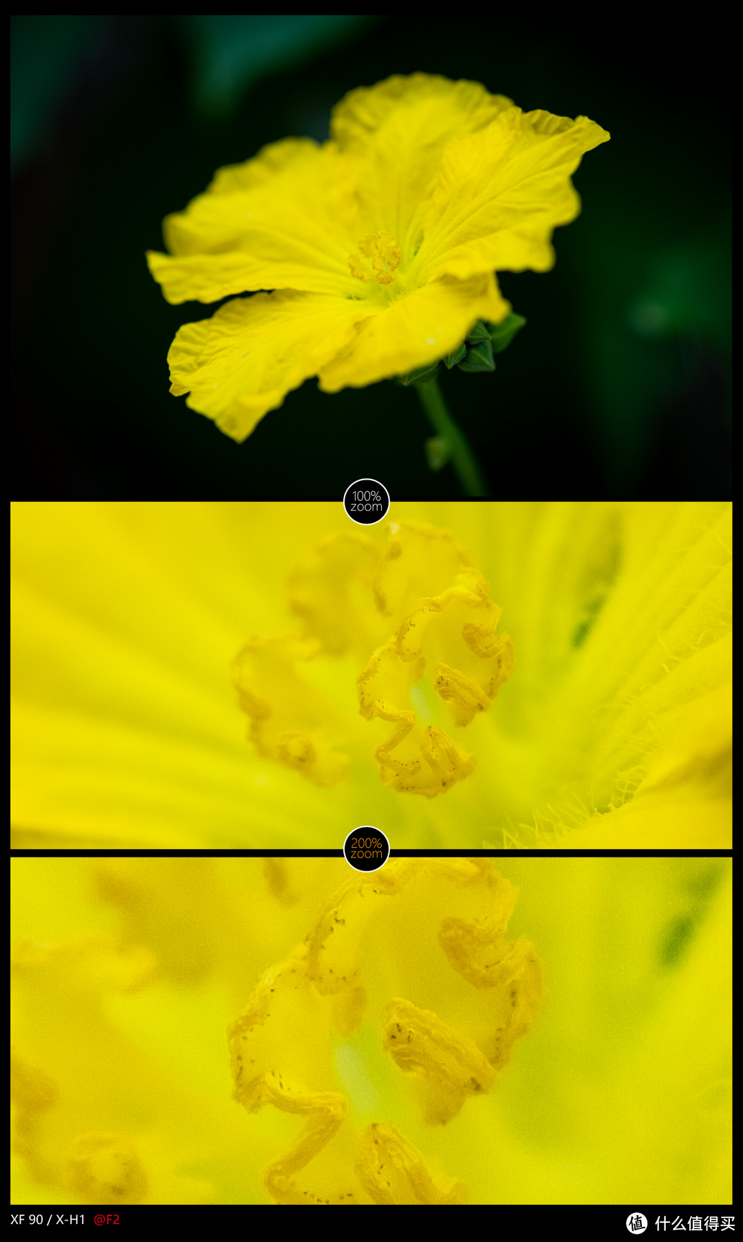 富士XF90mm F2使用体验：越用越喜欢