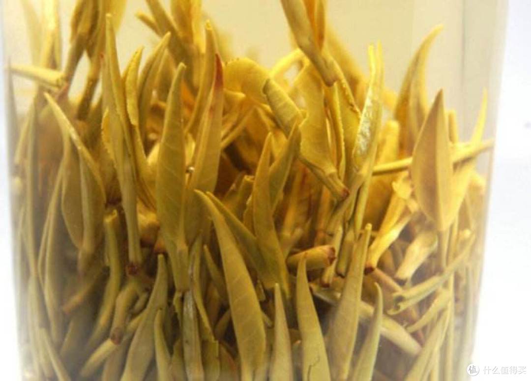 分享茶叶冲泡的几条黄金法则,重点针对刚入门的茶友