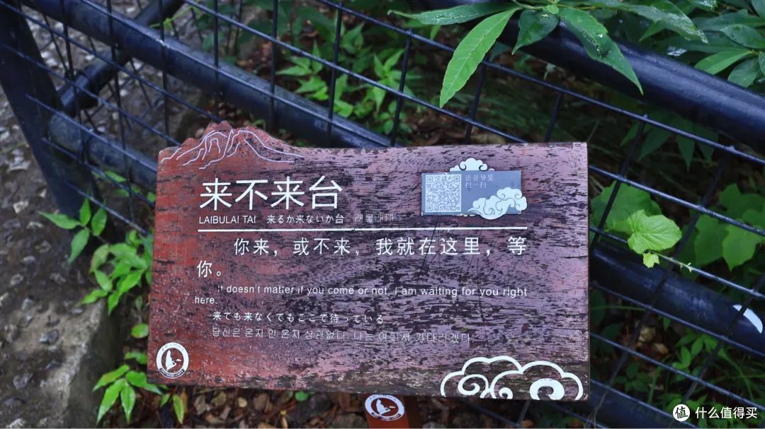 雨中神仙居,我的寻找神仙之旅!