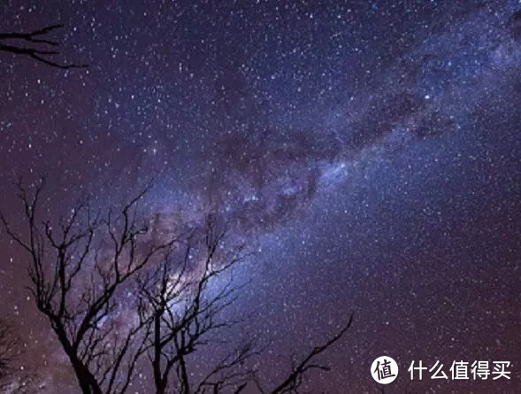 真狮版《狮子王》:践行华特·迪士尼的伟大愿景