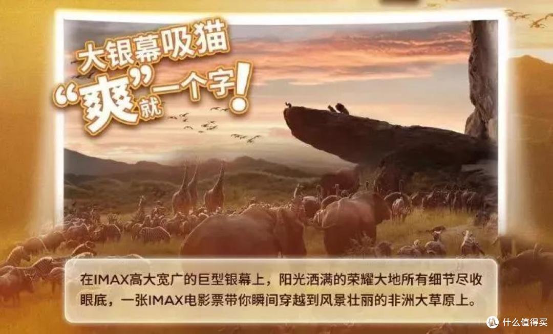 真狮版《狮子王》:践行华特·迪士尼的伟大愿景