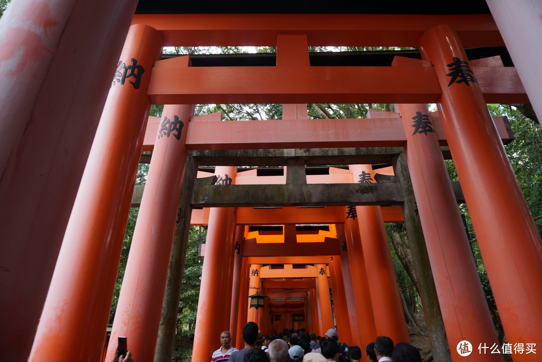 人从众