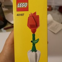 乐高40187花花世界鸳鸯蝴蝶外观展示(零件|说明纸)