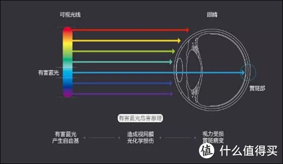 （图片来源于天极网）