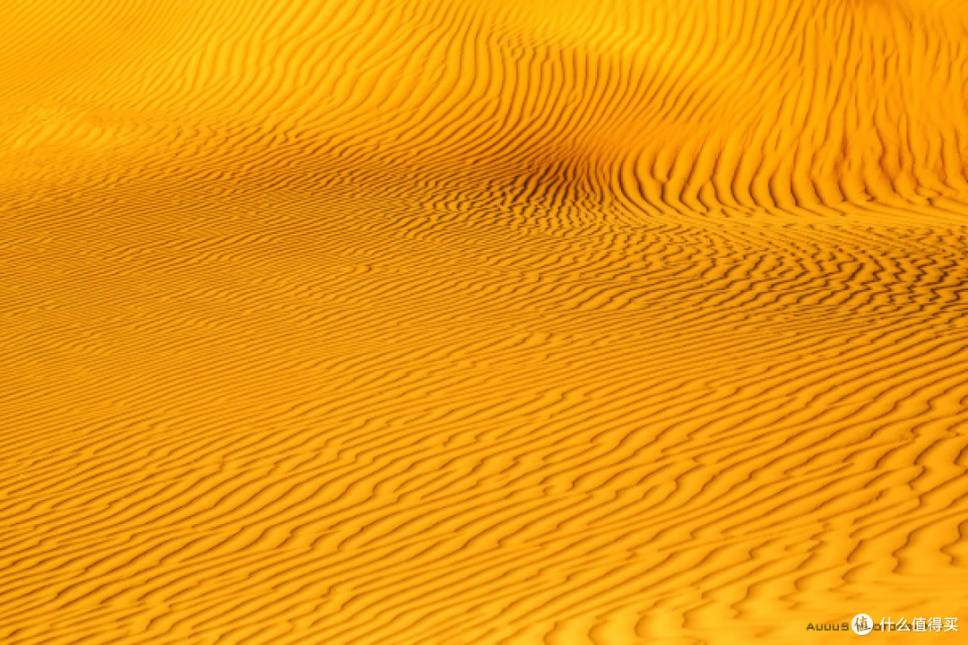 Canon EOS 5D Mark III  光圈：F/7.1 快门：1/500  焦距：100mm  感光度：100