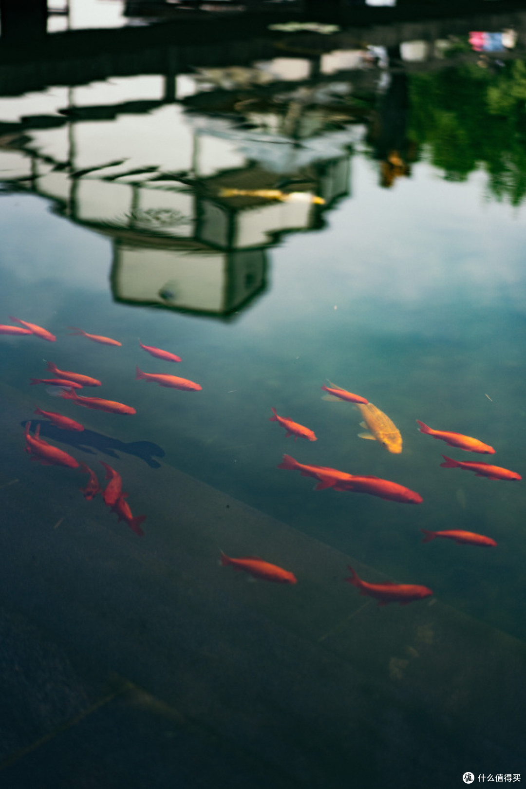 Sony ILCE-7RM3   光圈：F/1.8 快门：1/2500  焦距：55mm  感光度：100