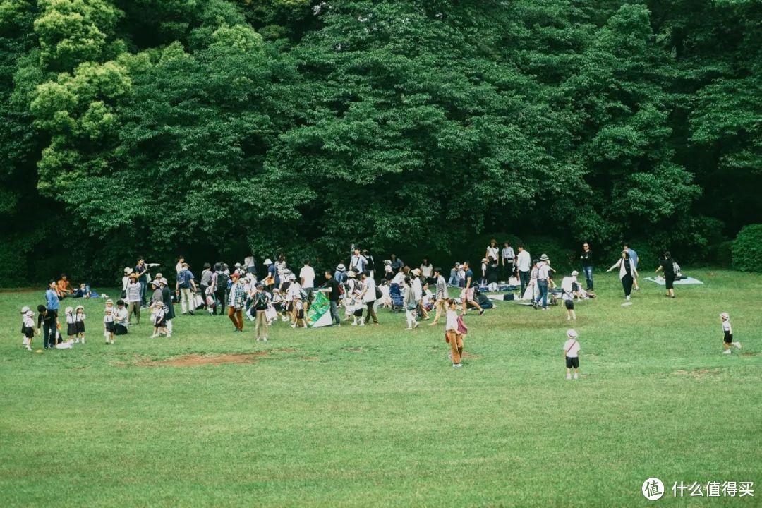 【初夏物语】我眼中的东京