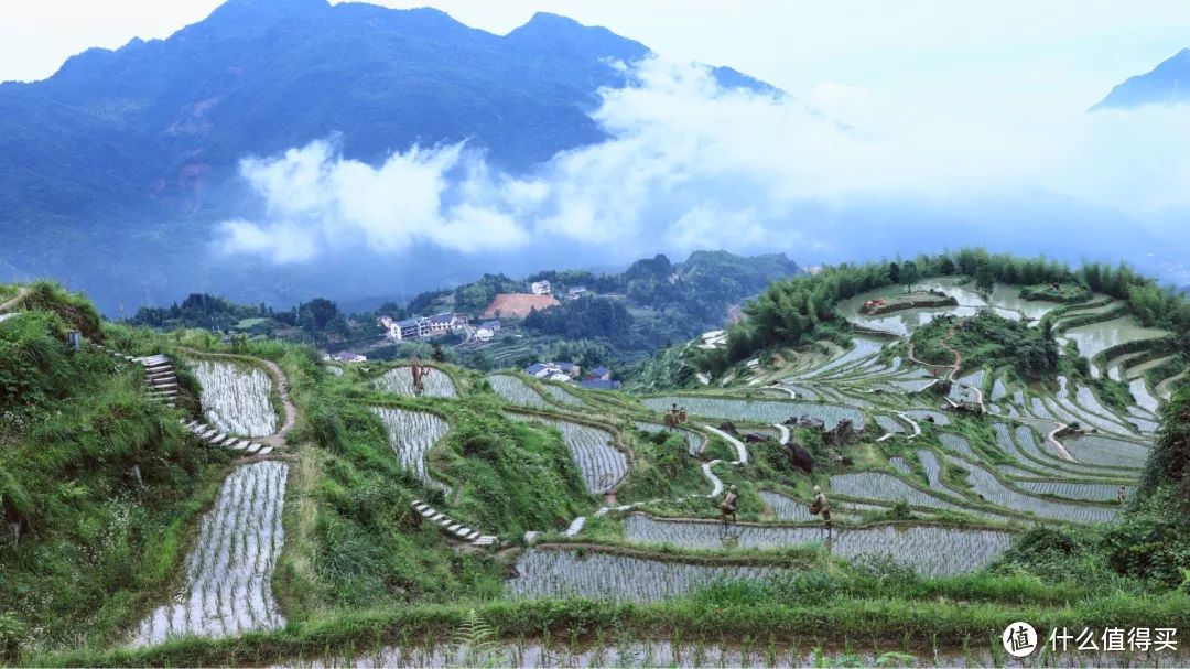 丽水行之云和梯田，丽水可能是全国最被低估的旅游城市。