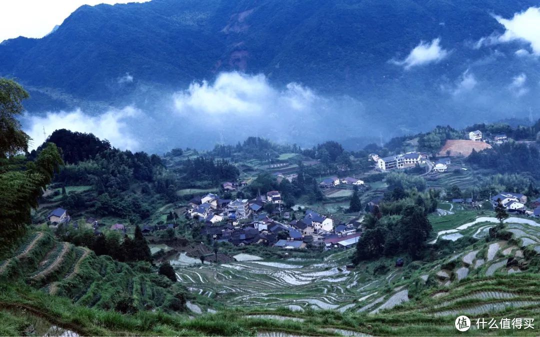 丽水行之云和梯田，丽水可能是全国最被低估的旅游城市。