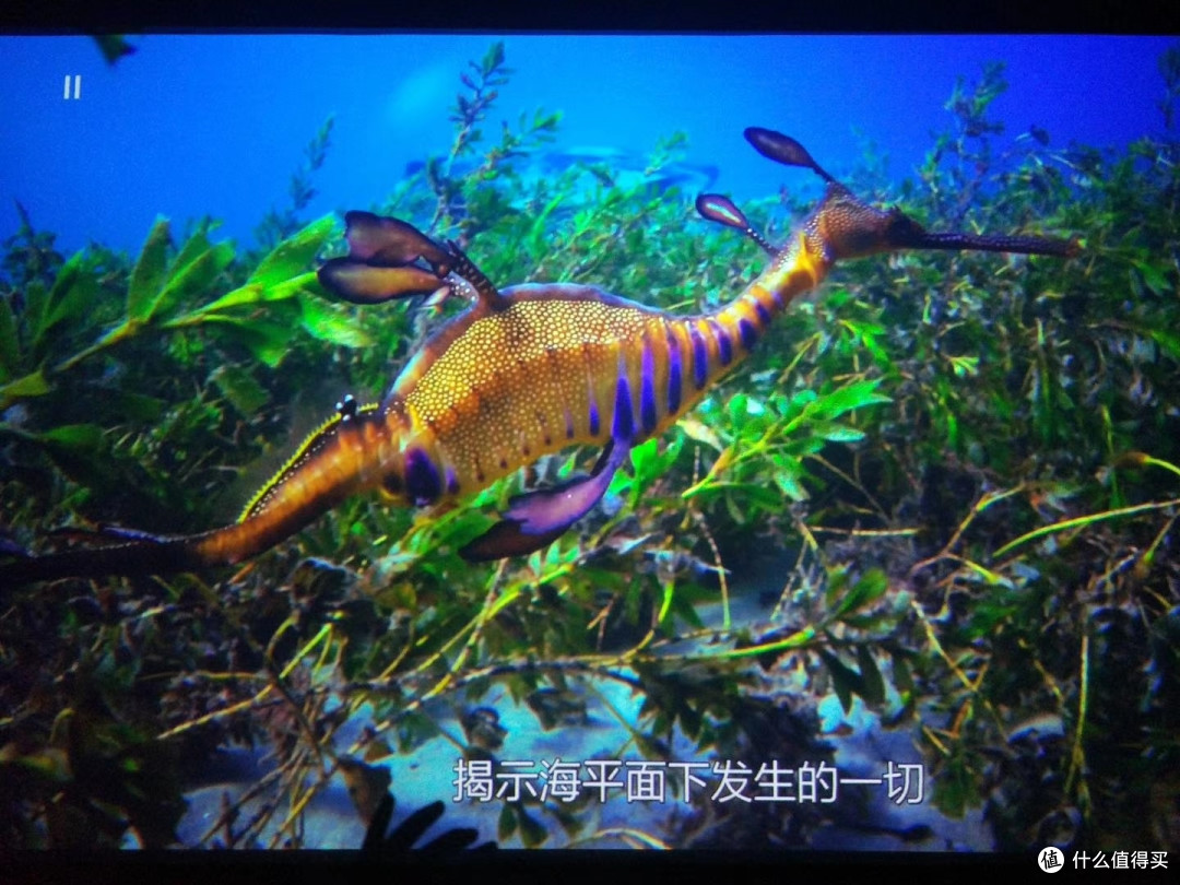 蓝色星球