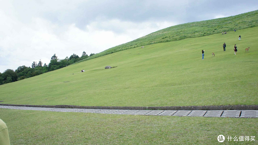 记第三次日本自由行-大阪、奈良、京都（关西地区）