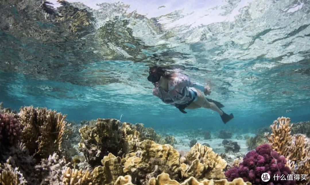 解锁海岛旅行新玩法：考一张潜水执照，探索地球70%的美