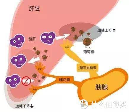 你这么拼，为什么还是瘦不下来？——细说那些必须get的减脂技能点