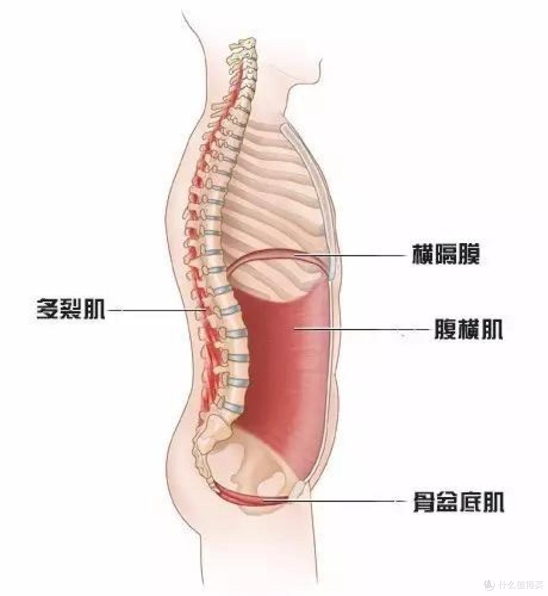 李现200斤未P旧照曝光:从胖子逆袭8块腹肌男神,靠的就是这一点!