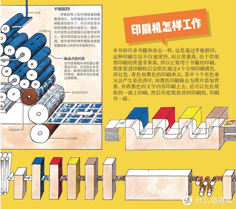 8岁前阅读这12本经典，小学毕业前就知道自己喜欢什么