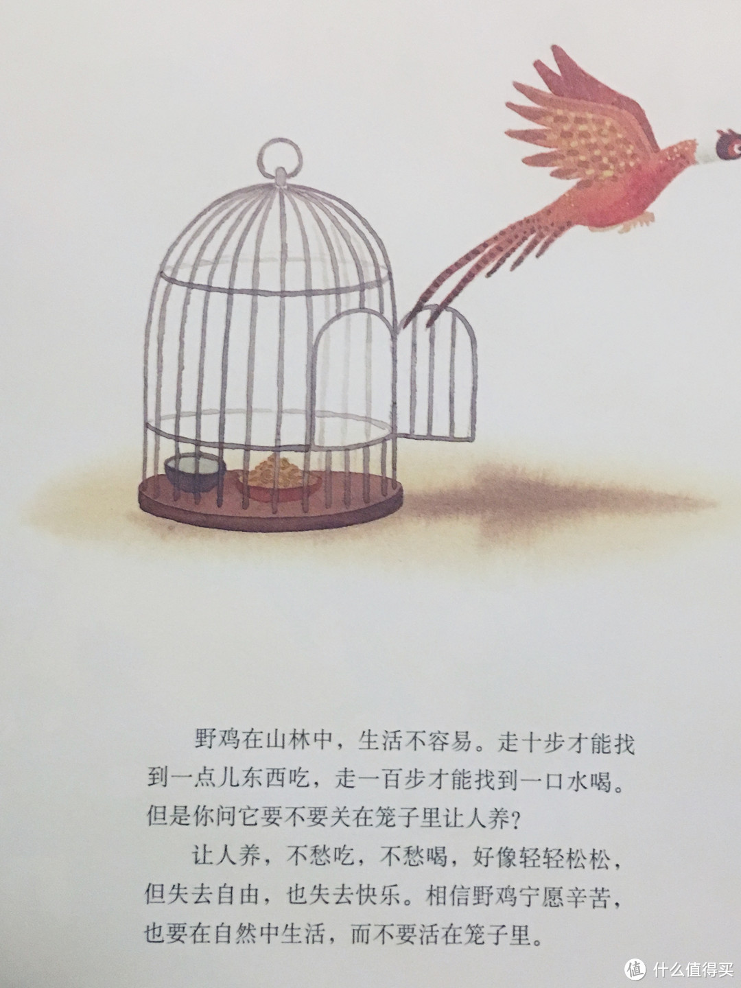 读书的乐趣（暑假好绘本推荐）