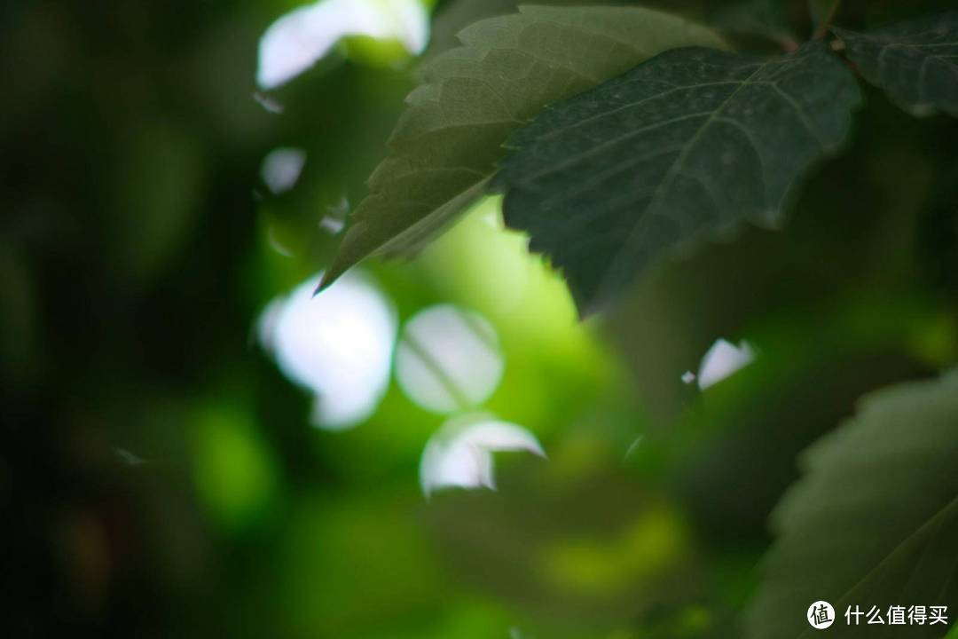 七工匠75mm f1.25超大光圈镜头体验分享