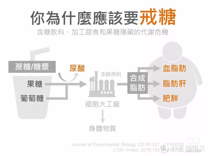 9款无糖苏打水评测，告别肥宅的快乐水选购推荐