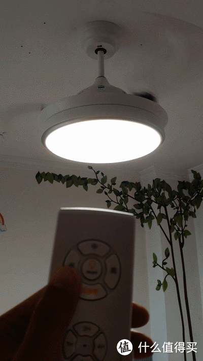 首晒!奥普 电扇灯/吊扇灯 安装过程以及功能测评
