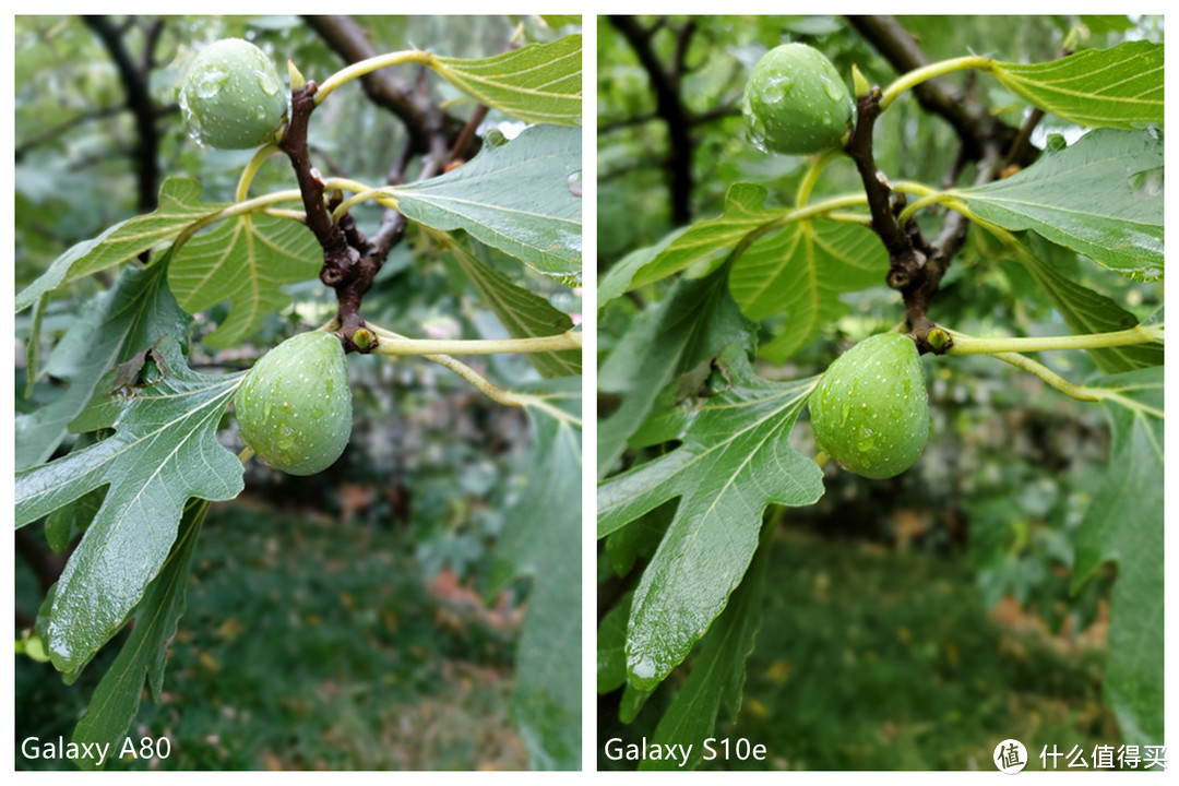 Galaxy S10e VS Galaxy A80，谁才是三星的真旗舰？