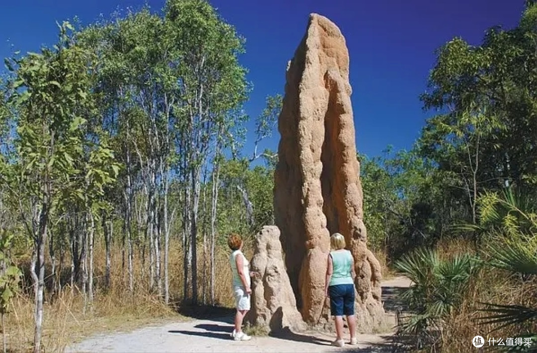 去澳大利亚北部旅游,肯定要去里奇菲尔德公园看白蚁“墓碑”啦