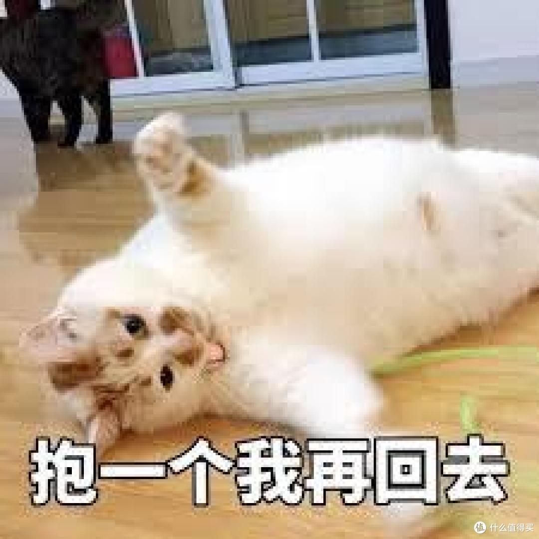我觉得你应该有一个更好的方向——小水怪U1智能降温杯