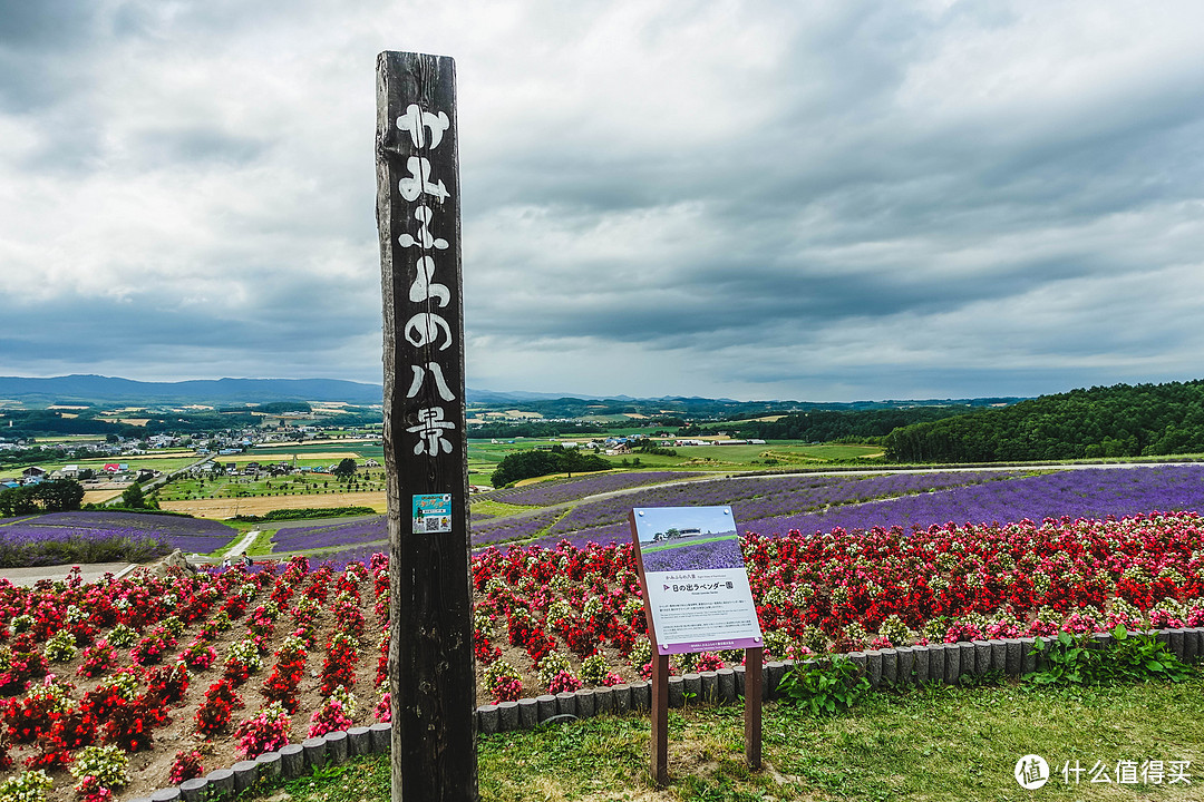 超详细！9天8晚带你领略那些绝美的夏日景色之北海道篇（含逛吃探店情报）