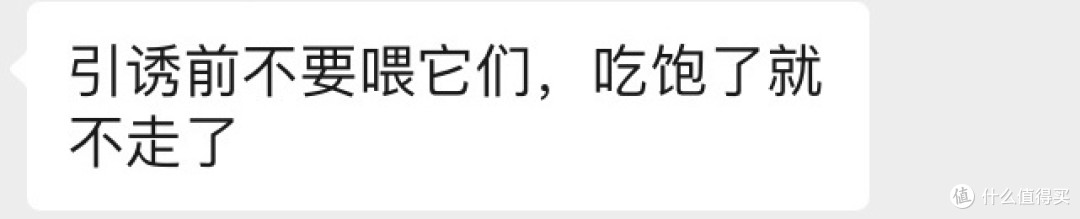玩乐高无限,学文武兼备,你是哪类玩家?