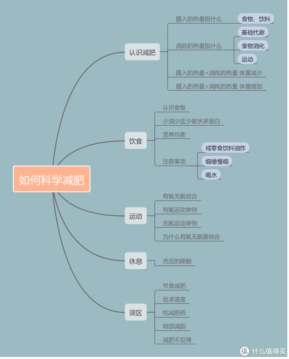 有人躺着瘦了10斤！然而你喝水都胖？手把手带你科学排雷，健康减肥！