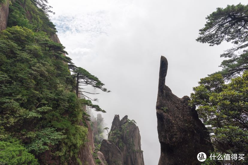 仙人指路