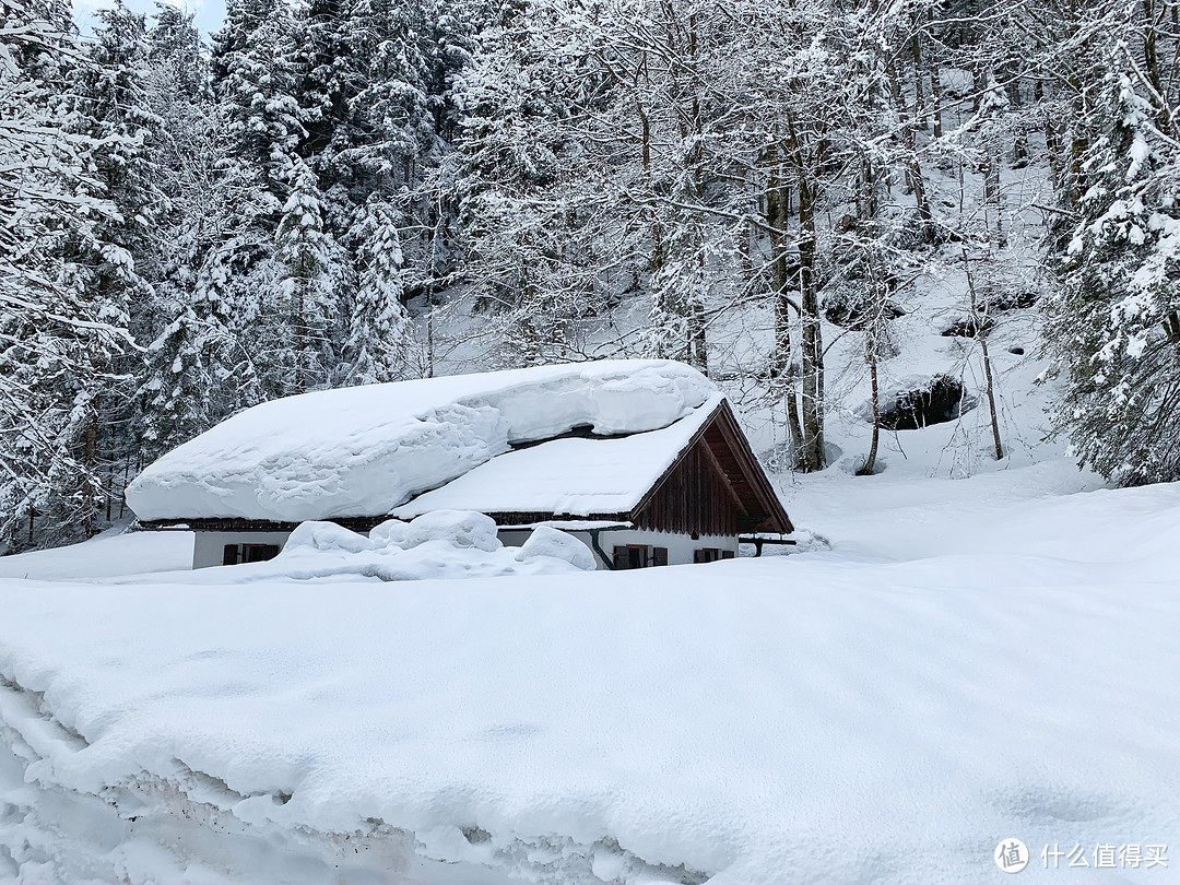 房顶上的雪比人高