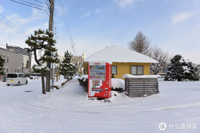 12月的北海道，给大家种个草，因为我又准备去了