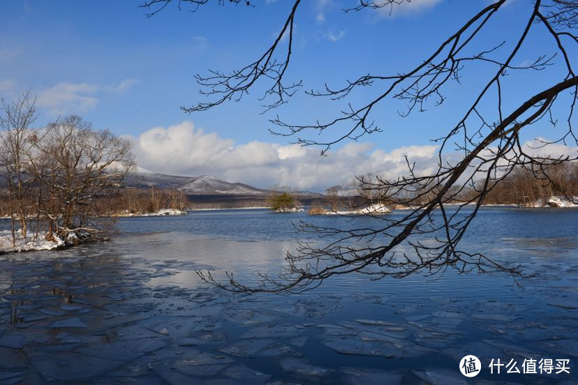 12月的北海道，给大家种个草，因为我又准备去了