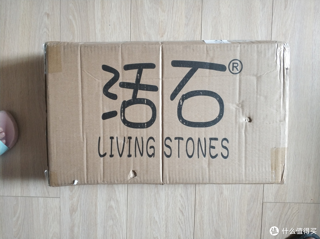 图书馆猿の活石 (LIVING STONES) 恐龙仿真模型套装简单晒