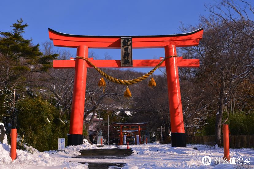 12月的北海道，给大家种个草，因为我又准备去了