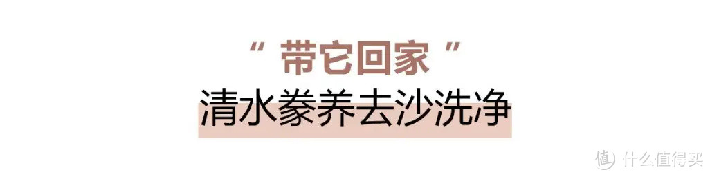 夏日料理大作战，今日份的麻辣小龙虾请查收