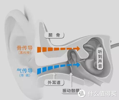 夏天，你需要一款可以尽情游泳的耳机——XTRAINERZ测评