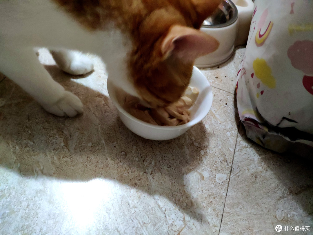 冻干食品有点贵，佩妮6+1 宠物冻干测评