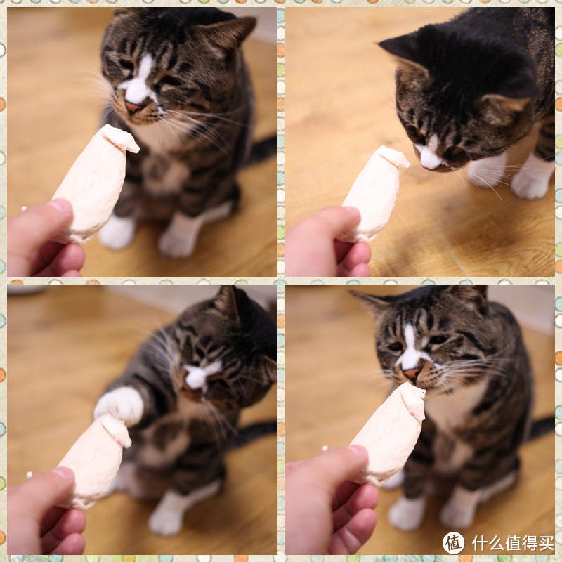 猫欢狗爱的小零食，“饺子&月饼”亲测佩妮6+1冻干