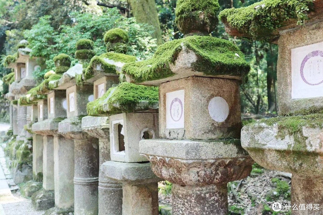 春日大社　拍摄地点：奈良