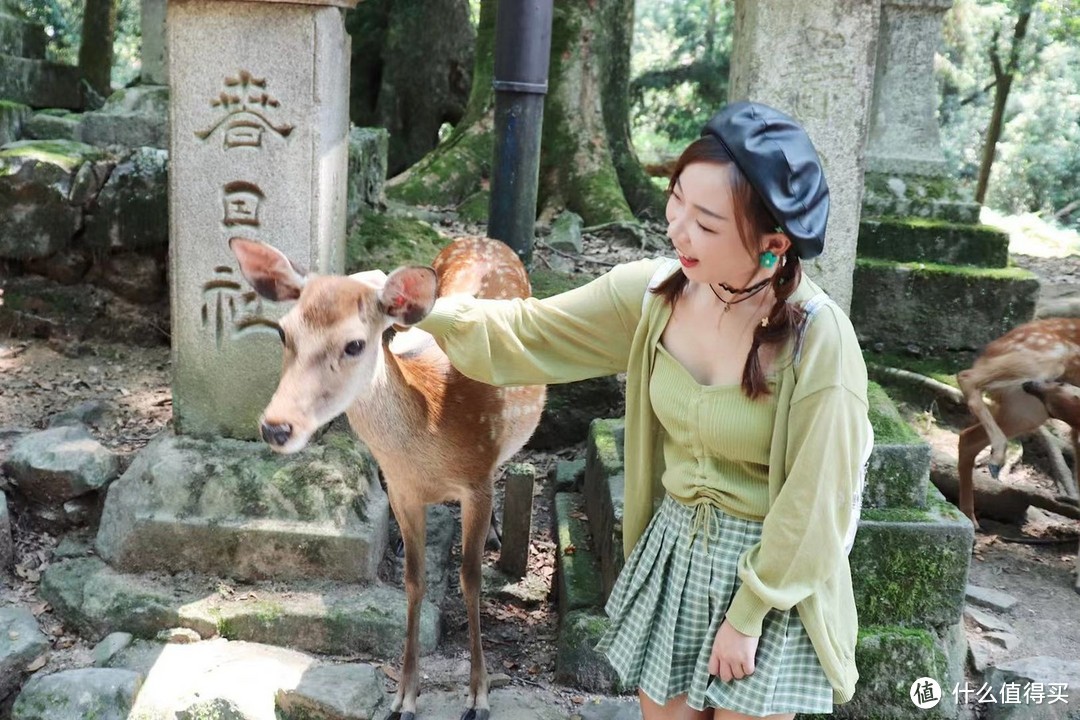 春日大社　拍摄地点：奈良