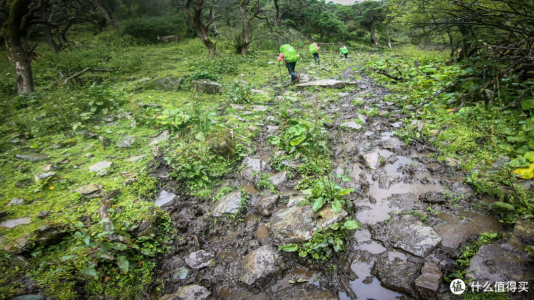 四姑娘山的冷门秘境重装记（附重装露营装备参考清单）