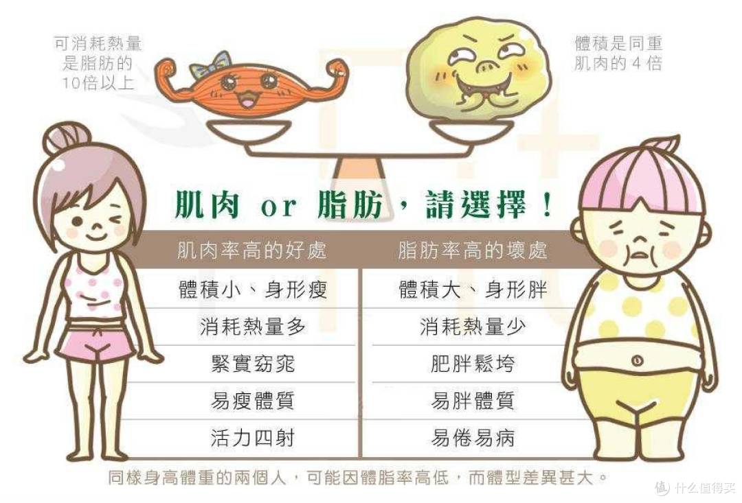 新手健身减肥常见的几个误区排雷