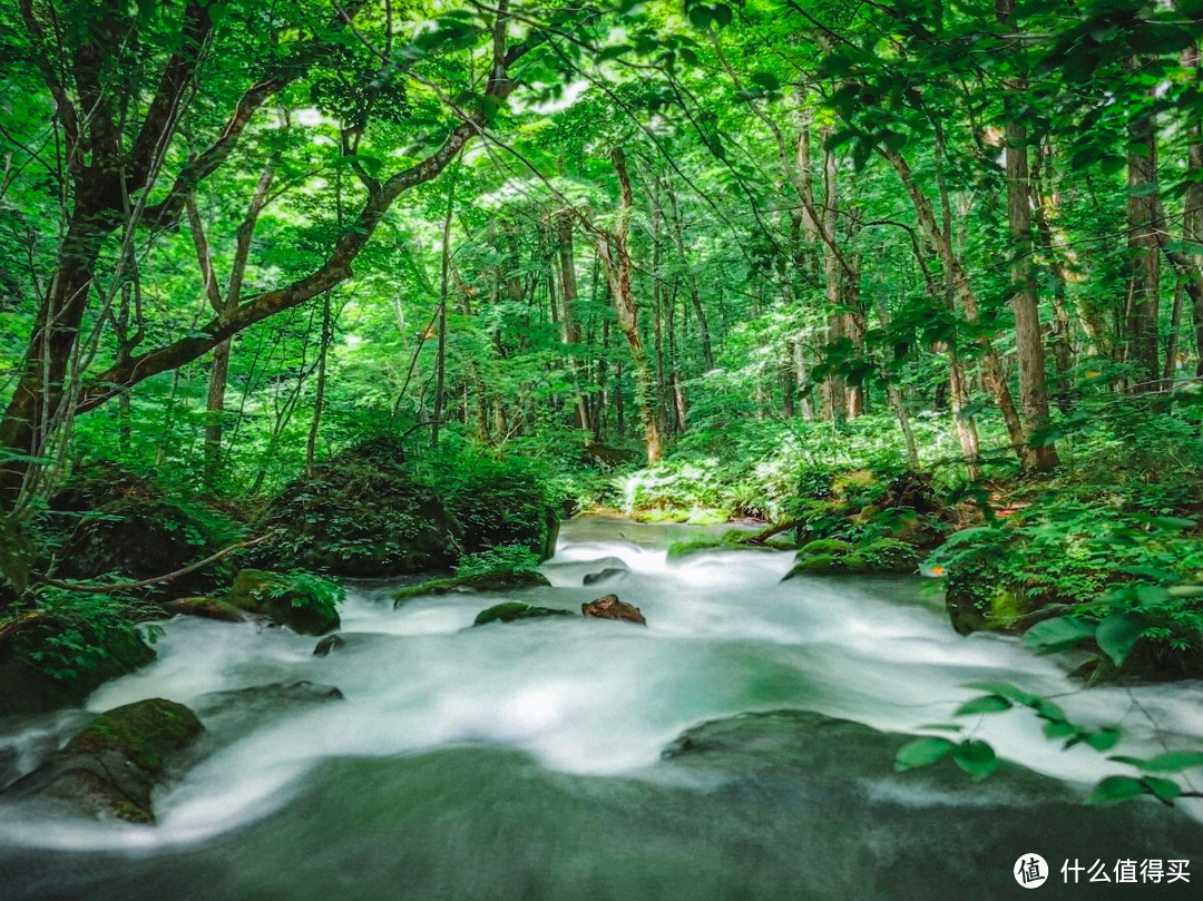 超详细！9天8晚带你领略那些绝美的夏日景色之日本东北篇