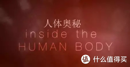 人体奥秘 | 感冒真能提高孩子的免疫力?