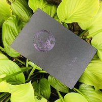 兴戈洛神EM2细节介绍(收纳包|说明书|耳机线|线材|保修卡)
