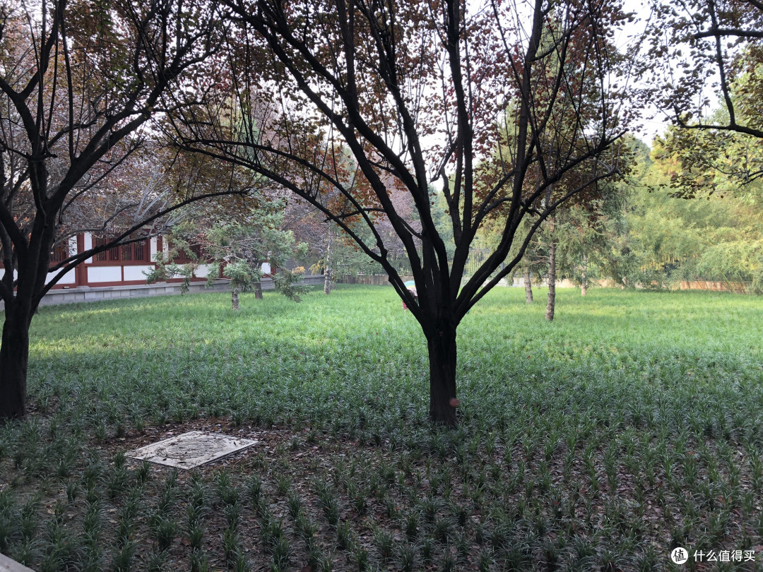 没改造的场地，看着可不咋样
