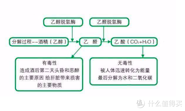 喝酒这件小事——怎样健康地喝酒？