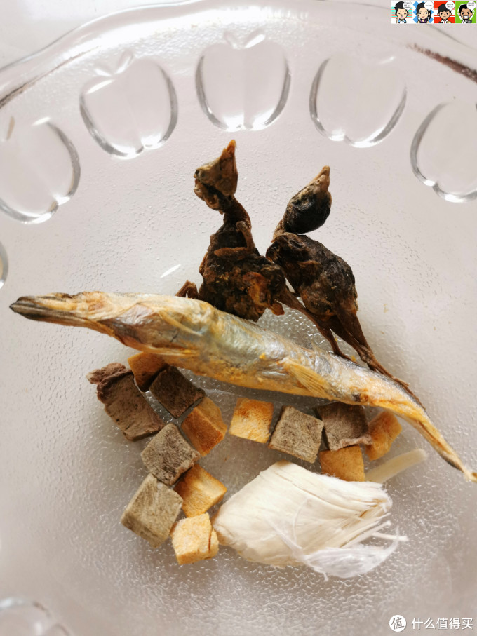 大肚婆娜娜的零食——佩妮6+1宠物冻干