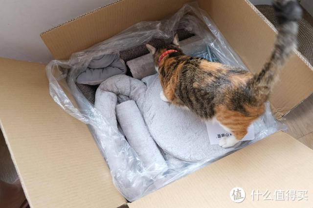猫主子的“城堡”:有品上线的小兽星猫爬架,深得猫奴的喜欢